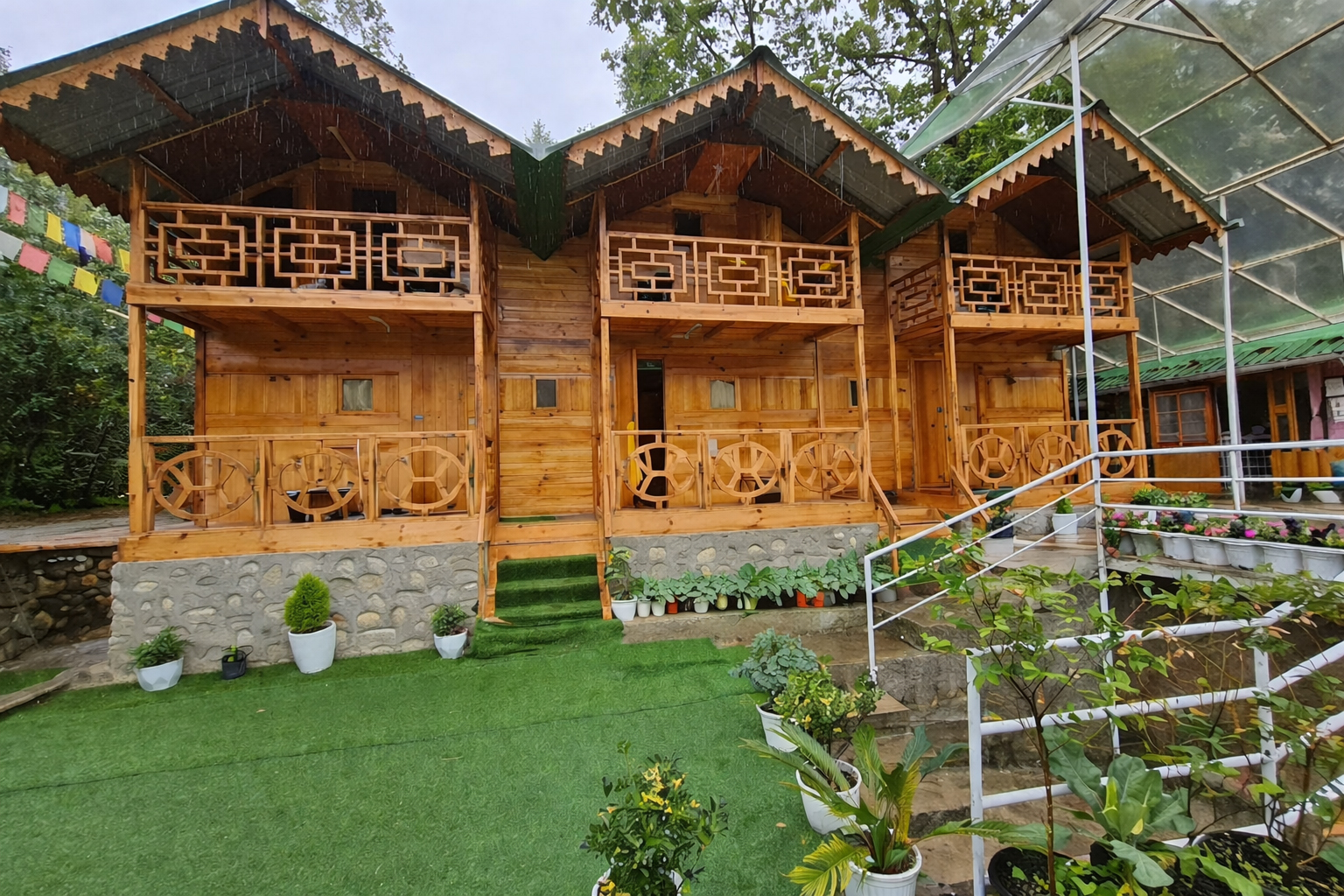 Tree House 3