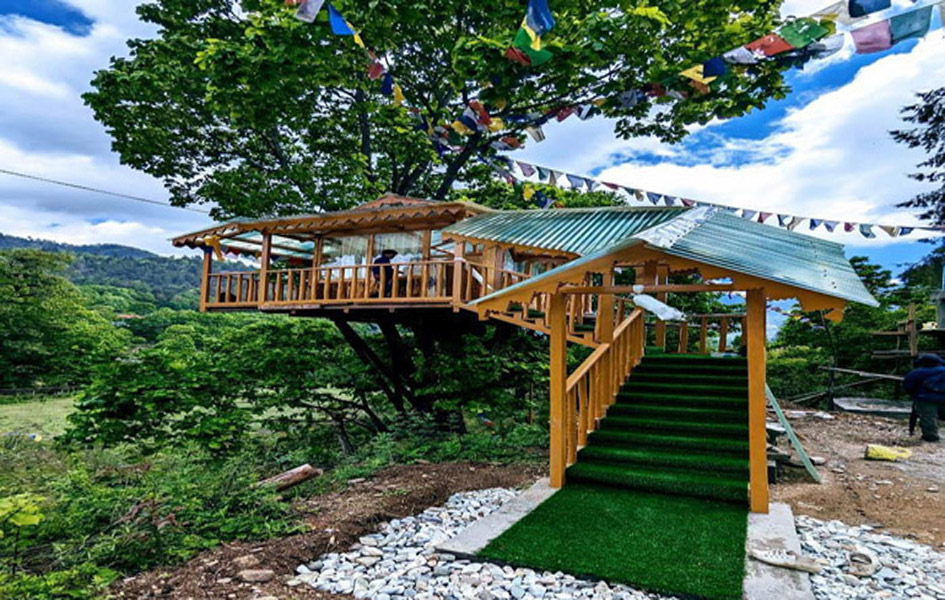 Tree House 1