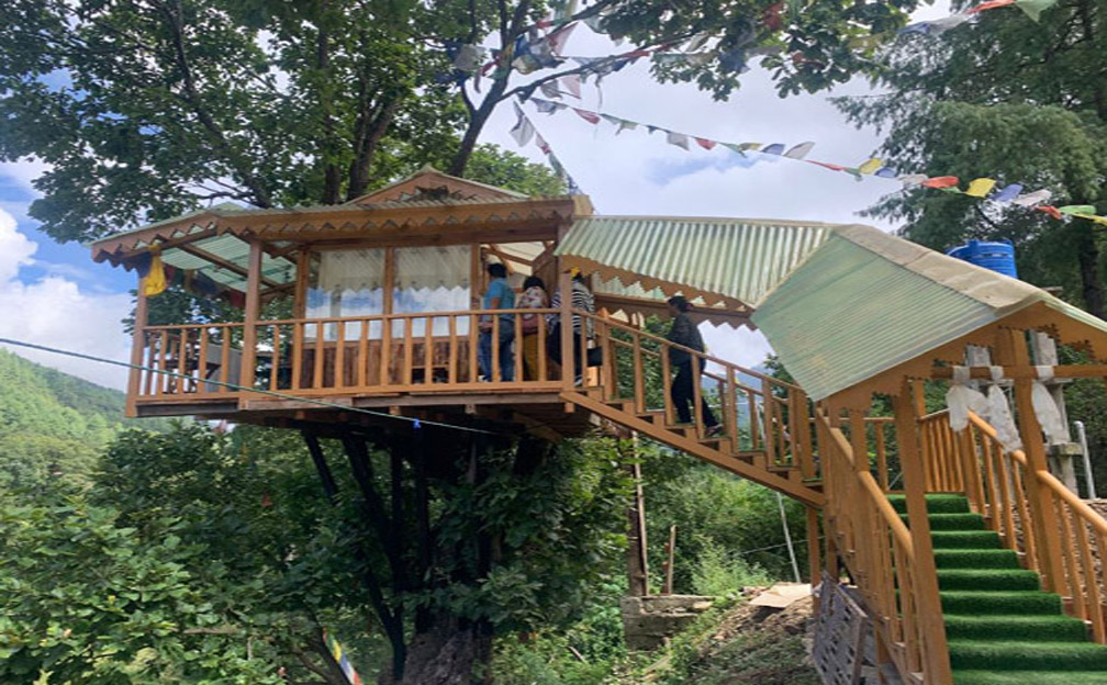 Tree House 2