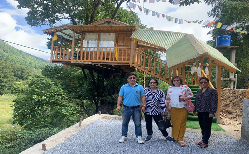 Tree House 3