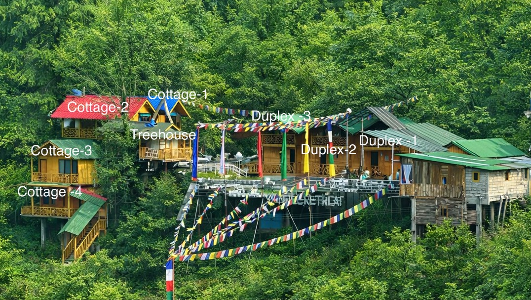 Tree House 3