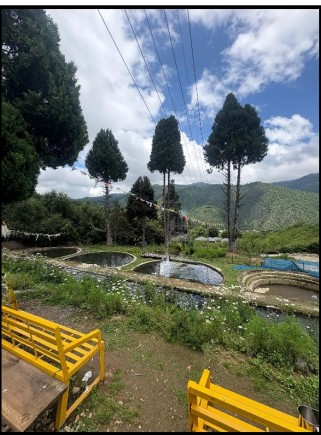 Cold Water Trout Hatchery