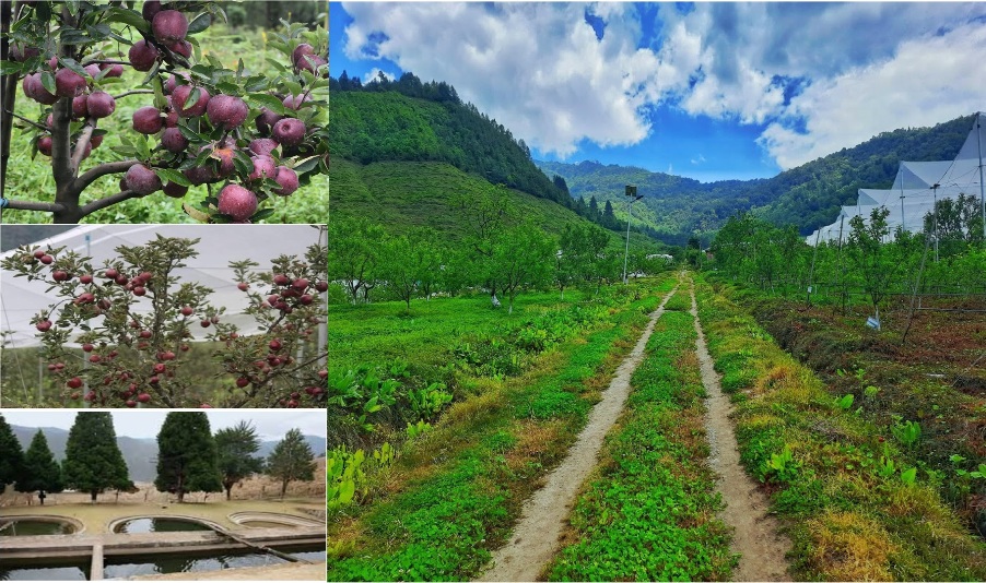 State Horiculture Farm